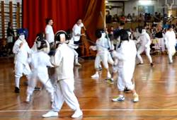 FENCING MOB